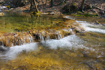 River in spring season
