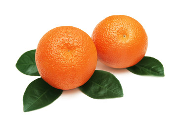 Tangerines.