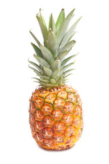 Fototapeta premium pineapple