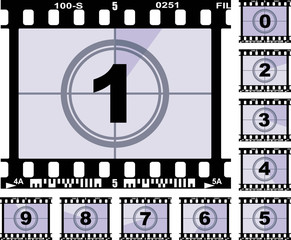 Frames of the negative film