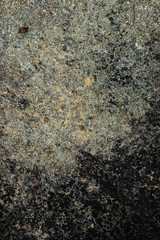 Background texture