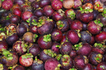 Mangosteen
