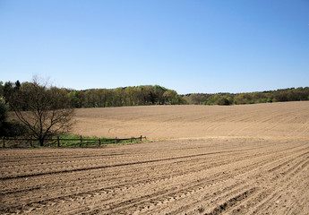 Gepflügter Acker im Frühling (Norddeutschland)