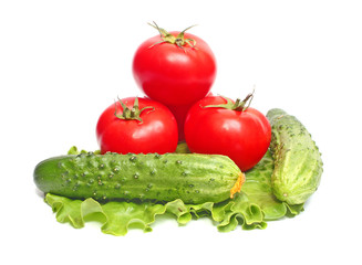 tomatoes and cucumbers on  lettuce