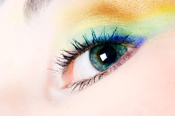 Obraz premium Human eye