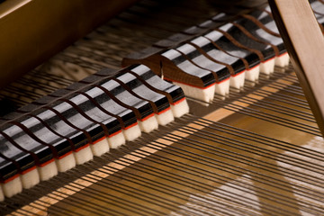 inside grand piano