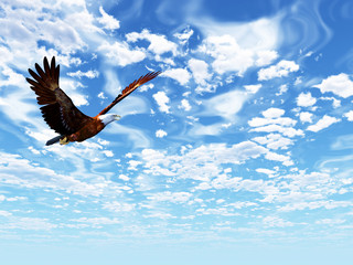 Eagle