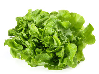 Eichenlaubsalat