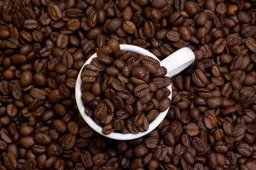 Circle of white cup brimful of coffee beans