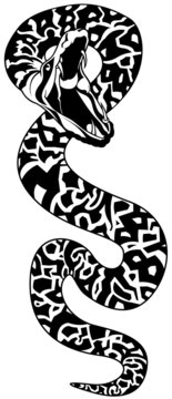 Snake Tattoo 01 - black illustration