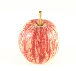 Red Gala apple