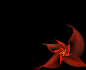 Fractal flower card
