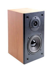 Loudspeaker acoustics system. Isolated on white.