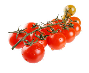 Cherry Berry Tomatoes