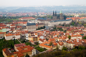 Obraz premium red roofs of prague