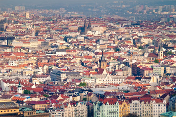 Obraz premium red roofs of prague