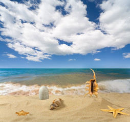 Fototapeta na wymiar Landscape with seashell and stones on background