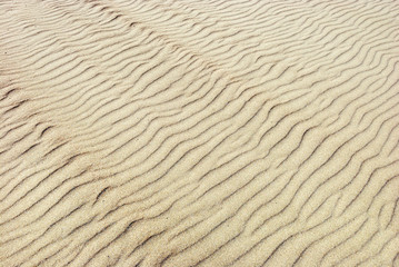 Sand Ripples