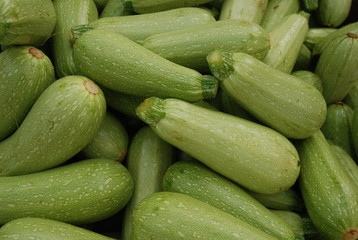 calabacinos