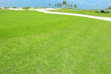 Obraz premium Golf field