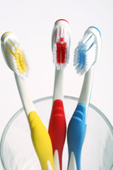 Three toothbrushes in glass