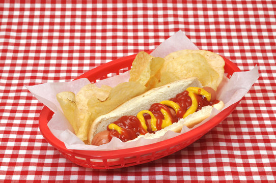 Hot Dog with Ketchup and Mustard in Basket