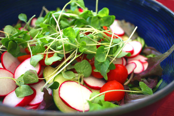 salad with sprouts in a bowl
