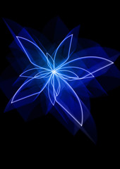 FIOREBLU © Francesco83