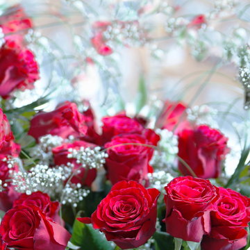 Romantisches Rosenbild