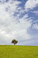 Green land skype on a blue sky