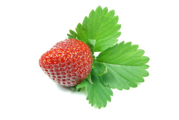 Fragola con foglie