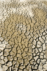 Cracked land
