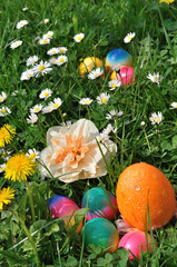 Ostereier auf  Wiese