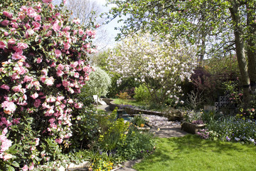 Fototapety  Typowy ogród angielski
