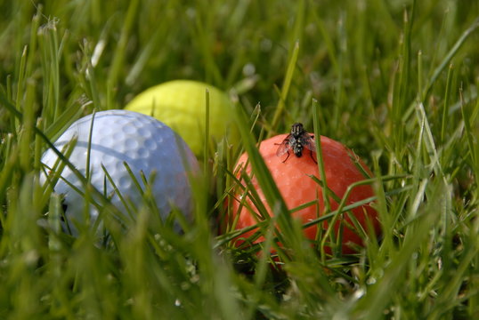 Golfb&auml;lle mit Fliege