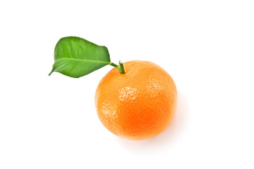 mandarin