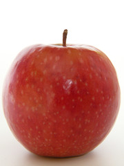 Apfel I