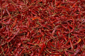 Fototapeta premium Chilli