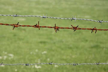 Barbed wire