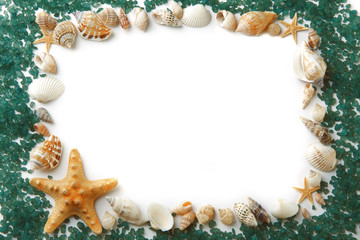 Obraz na płótnie Canvas Frame composed of sea shells and sea salt