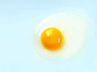 Raw Egg on Blue Background
