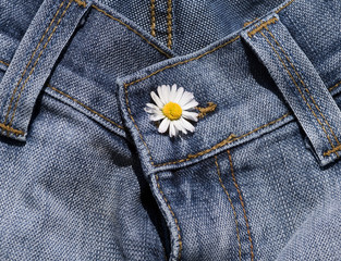 Blue denim jeans with daisy against button
