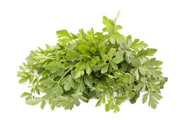 parsley