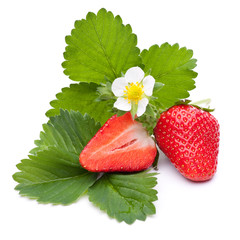 Ganze und halbe Erdbeere mit Blättern und Blüte
