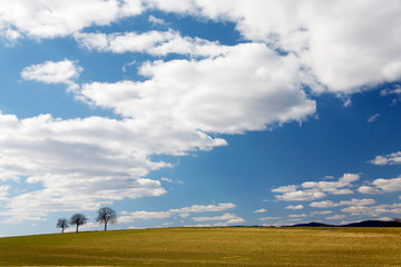 Fototapeta premium drei vor wolkenhimmel