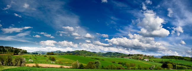 Fototapeta na wymiar Spring landscape - green fields, the blue sky