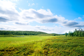 tundra in north montain