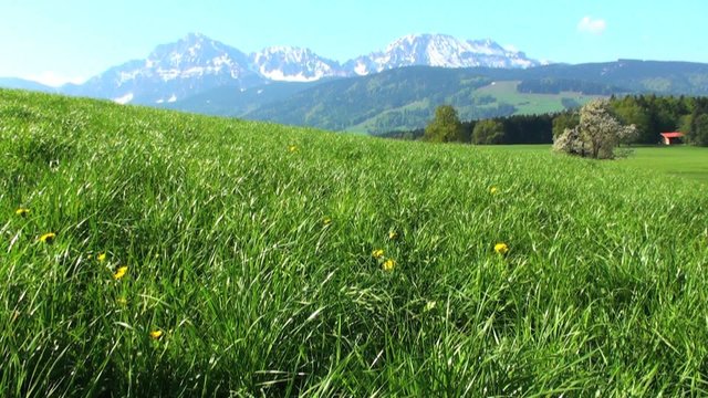 bayerische landschaft
