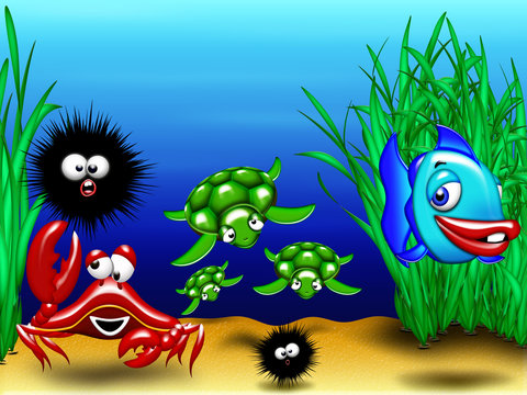 Animali Mare-Sea Animals-Animaux Mer 2