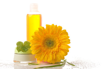 concept of natural cosmetic